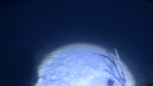 Огромный налим! Один в лесу в лесной избушке, ловля налима на донки! Уха из налима в лесной избушке!