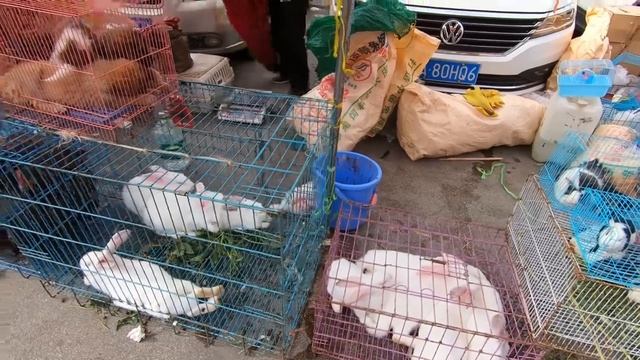 每逢周日，赶马街春雨乡街子，挤在喧嚷人群中寻找美味 Crowd in the market looking for delicious food
