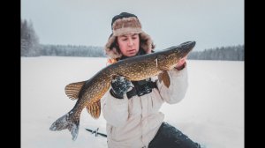 Жор щуки на жерлицы Трофейные щуки рвут леску и не лезут в лунку!!! Вот это улов!