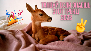 ТАНЦУЙ ЕСЛИ ЗНАЕШЬ ЭТОТ ТРЕНД 2023 ? | Новые Тренды Этого Года!!!