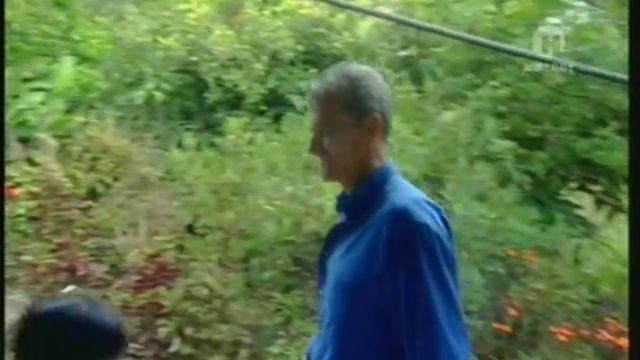 Openbox S1 viasat смотреть онлайн