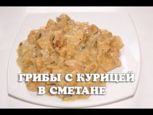Белые грибы тушеные с курицей в сметане в мультиварке / как приготовить белые грибы