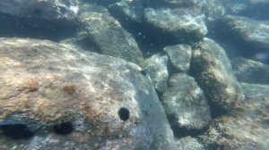 Monterosso al Mare 2018