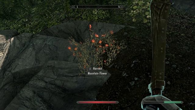What are Mountain Flowers - Skyrim смотреть онлайн