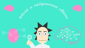 Как мы приобретаем новые навыки? Мозг и нейронные связи - анимация