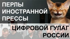 Перлы иностранной прессы )) Цифровой Гулаг России