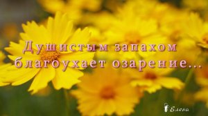 Душистым запахом, благоухает озарение*    Fausto Papetti