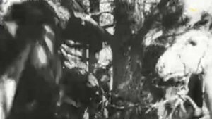 Леонид Утесов - Солдатский вальс