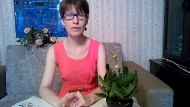 Мои комнатные растения: как ухаживать за каланхоэ смотреть онлайн