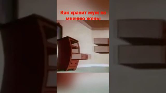 Как храпит муж по мнению жены, прикол смотреть онлайн
