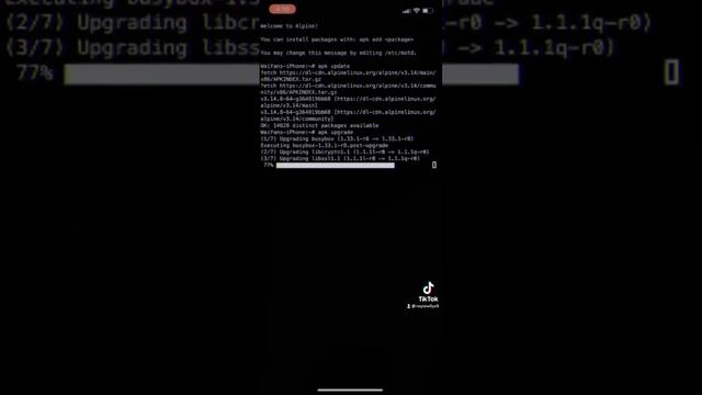 Alpine Linux on iOS