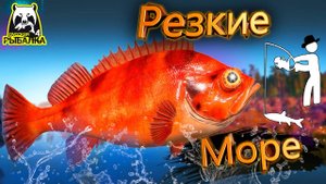 RF4 РЕЗКИЕ МОМЕНТАЛЬНЫЕ ПОЛЕЗНЫЕ ПОКЛЕВКИ #рр4