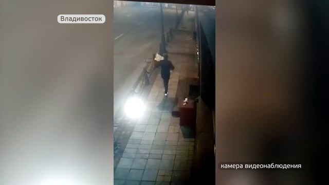 Во Владивостоке на статую Хатико вновь напали вандалы смотреть онлайн