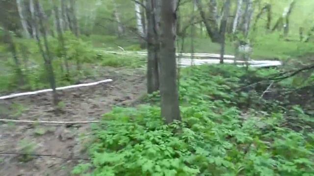 Архив №1. Вывоз берёзок (наш засев) для ограды смотреть онлайн