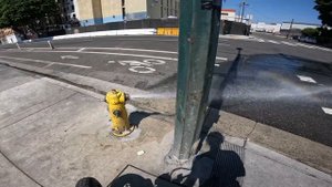 I Survived Los Angeles On My Eahora Juliet Ebike