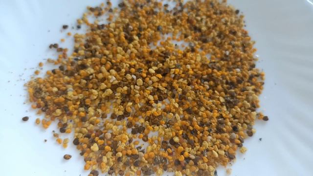 ПЫЛЬЦА И МЁД. ПОЛЕЗНОЕ, ВКУСНОЕ И КРАСИВОЕ ВИДЕО. смотреть онлайн