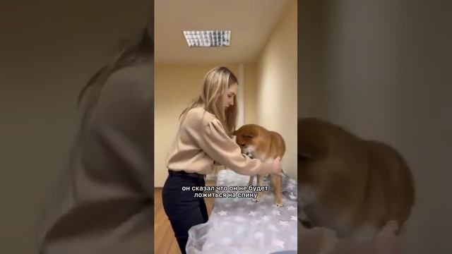 Салон ресниц смотреть онлайн