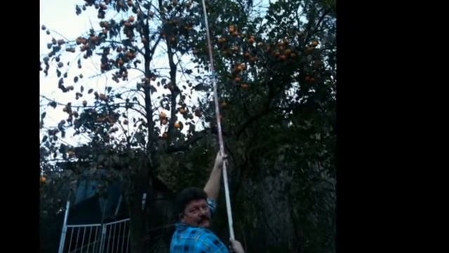 Пусть всегда будет солнце. Самое Новое.wmv смотреть онлайн