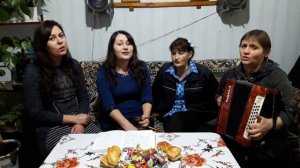 Огурчики,помидорчики//Песня под гармонь