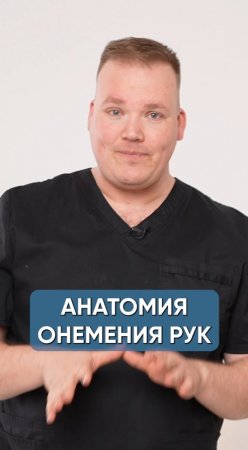 Анатомия онемения рук