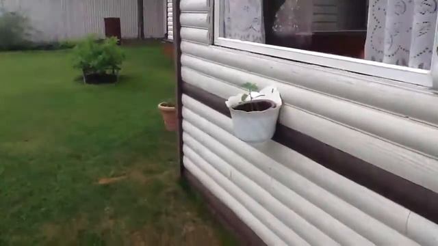 Моя дача: 2 часть смотреть онлайн