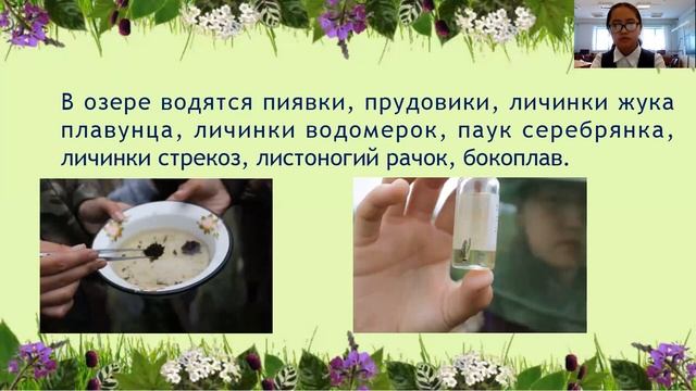 Слепцова Сандаара - Наука о Земле - Экологические науки / #ЭКОЛА смотреть онлайн