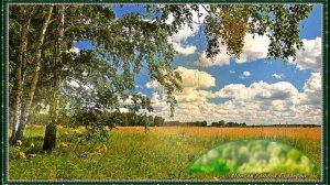 Там, где поет душа...  SHAMAN