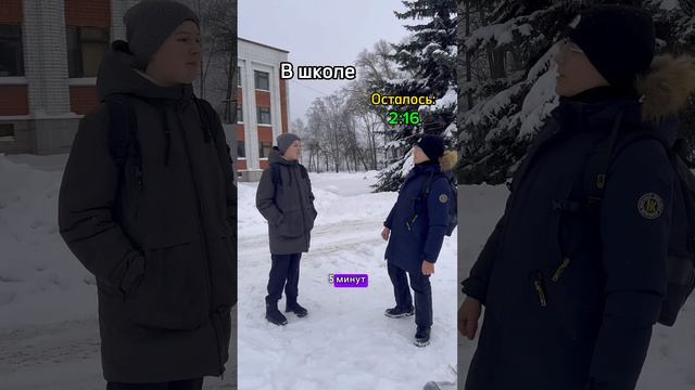 #brawlstars #meme #memes #news #бравлстарс #животные #кошка #майнкрафт #собака #2024