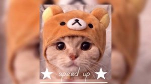 восточные сказки - ★ speed up ★