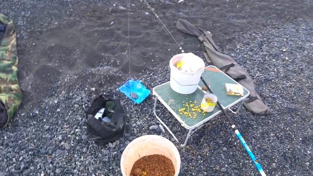 Рыбалка на Щукаре, оз. Алаколь! (видео из архива) смотреть онлайн