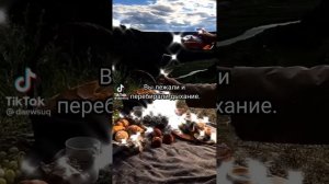 Фф про Драко Малфоя и Т/и "Обратный мир" 13 серия🐍💚 (без звука)