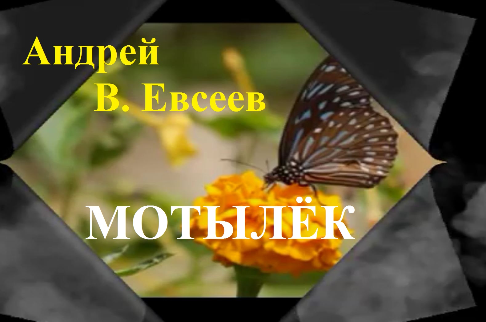 Андрей В. Евсеев. Мотылёк. CD-альбом "Снег в июне" (2020)