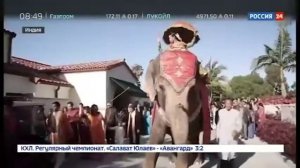 No Elephants in Delhi? : Нью-Дели останется без слонов