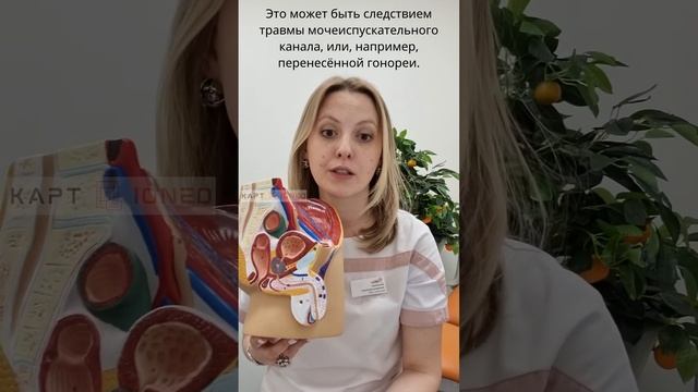 Затрудненное мочеиспускание у мужчин смотреть онлайн