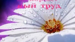 "Последний звонок", слова благодарности учителям 11 В класса Гимназии №7 от родителей.