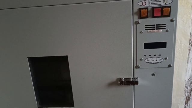 первая закладка яиц на инкубацию //в новом 2023году /// смотреть онлайн