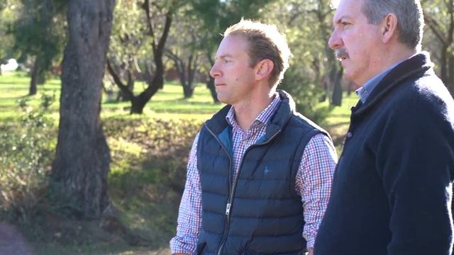 Candy Road intersection upgrade смотреть онлайн