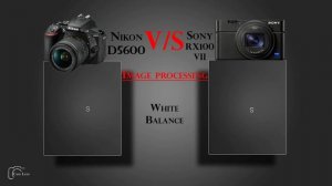 Nikon D5600 vs Sony DSC RX100 VII