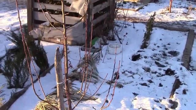 Груша на боярышнике 2 смотреть онлайн