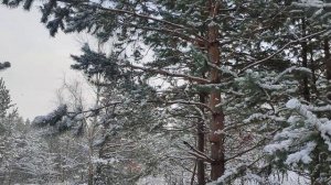 я леплю из пластилина. Новелла Матвеева