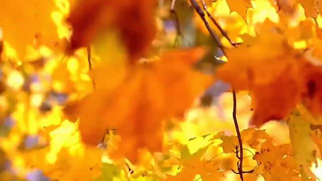 Любить, как Ты, я не могу смотреть онлайн