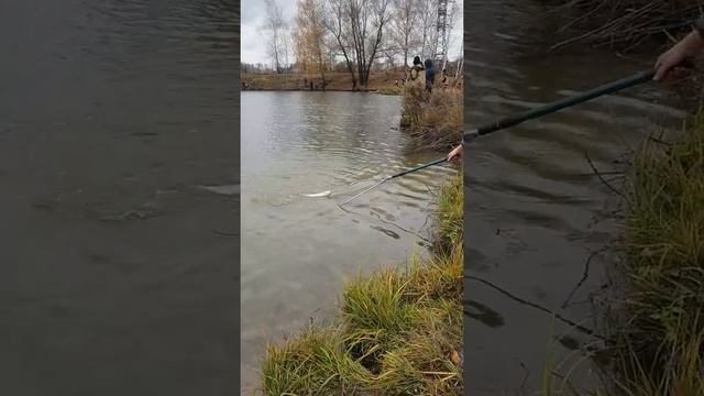 Рыбалка в Лагуне.