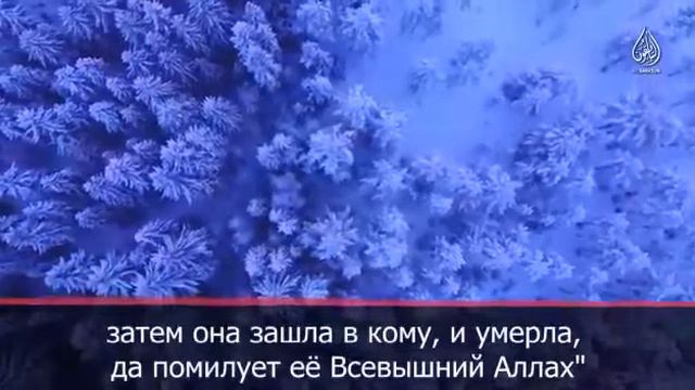Аллах с терпеливыми • Sabr •