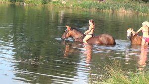 Купание на лошадях!