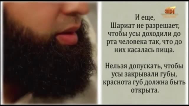 Отпускание бороды,побрив усы смотреть онлайн