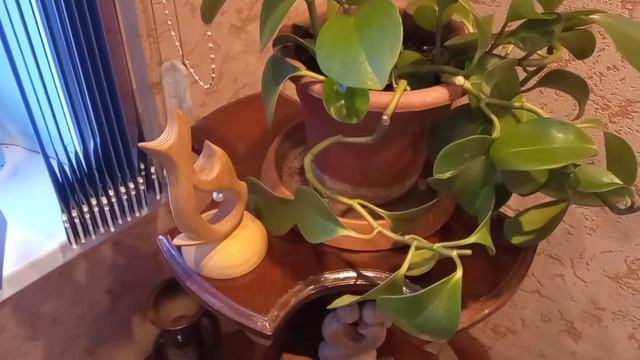 №53 Полка под цветы/ из дерева/ своими руками смотреть онлайн