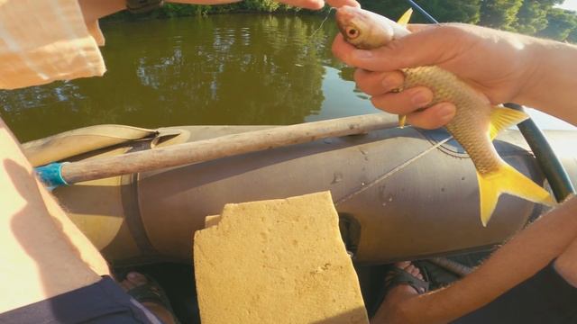 Поймал 10кг крупной плотвы НА ПОРОЛОН на ДОНУ смотреть онлайн