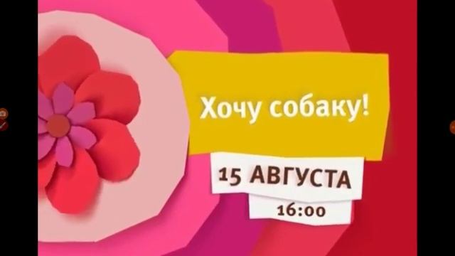 Цветы анонсы карусель лето смотреть онлайн