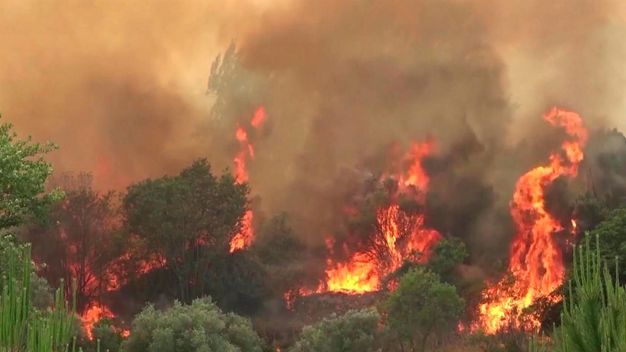 В Испании проводят массовую эвакуацию из-за пожаров, которые добрались до жилья