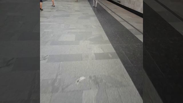 метро Бабушкинская Москва платформа